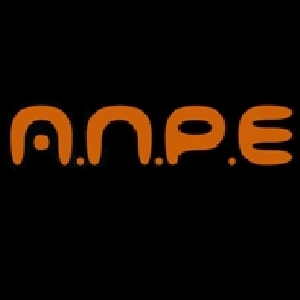 GROUPE_ANPE_TYPO