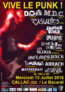 vive-le-punk-2016